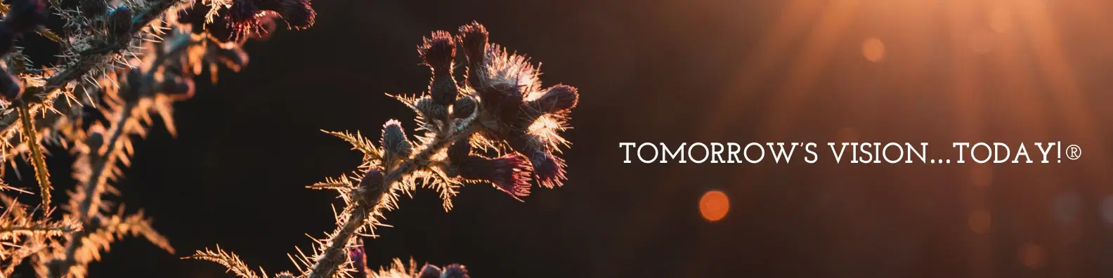 Active Concepts header