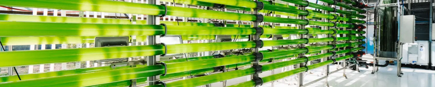 Algaktiv header