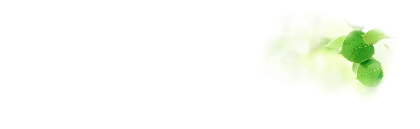 CFF header