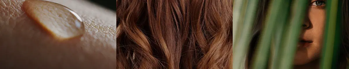 Croda header
