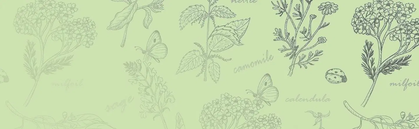 Provital header