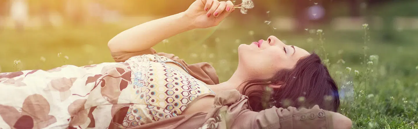 Seppic header