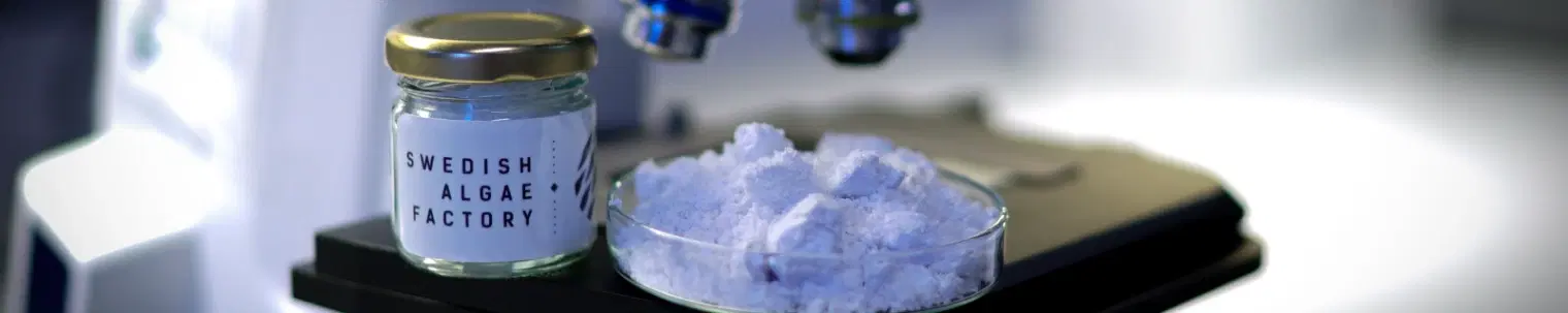 Swedish Algae Factory header